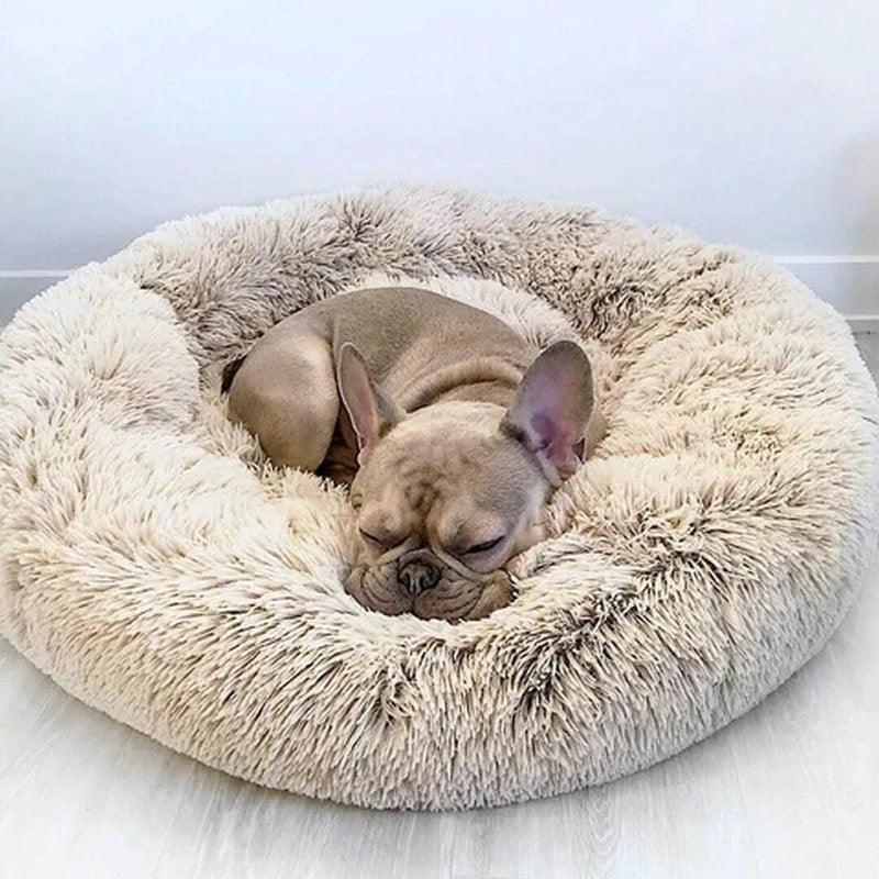 Coussin apaisant anti-stress SereniPet