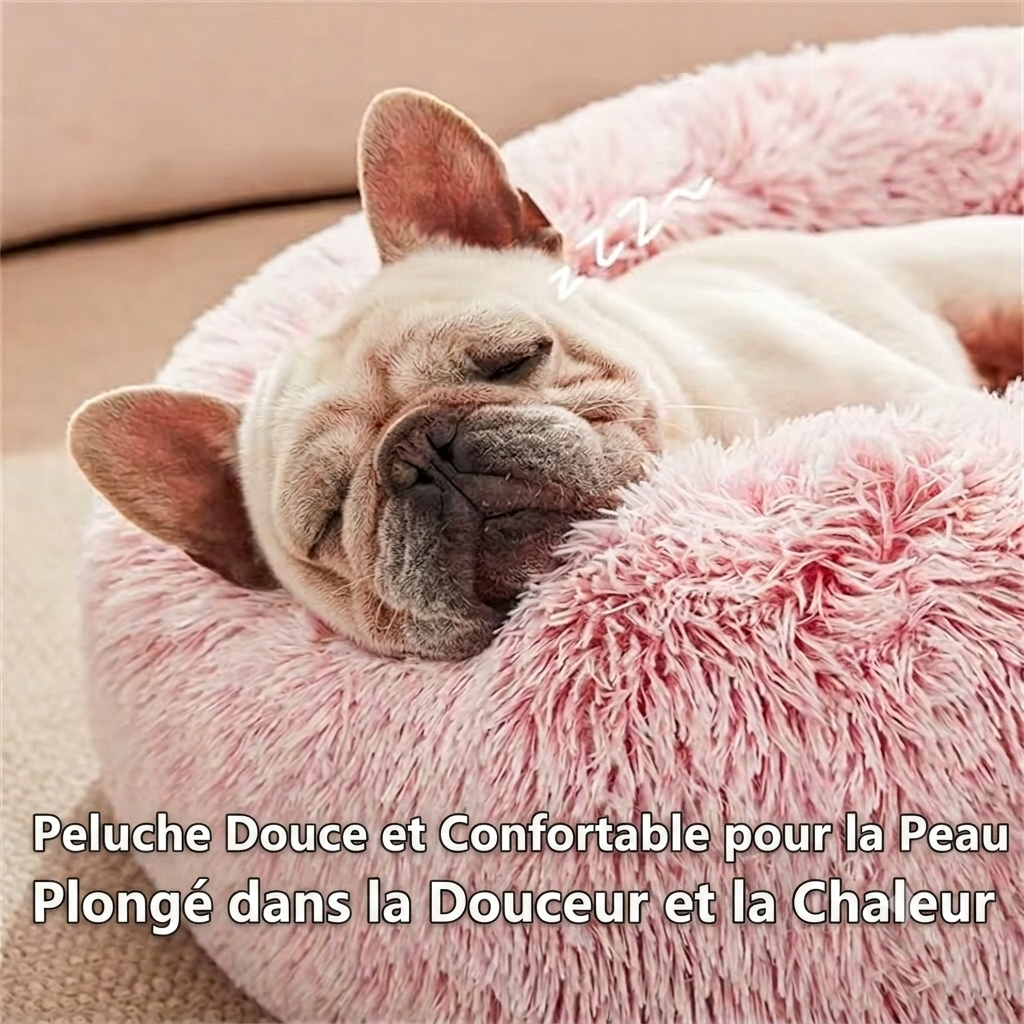 Le cocon qui rassure votre chien
